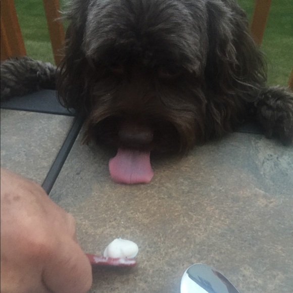 Meet your Posher, Debbie❣️💕🤗😊🍷😍☃️ - Picture 8 of 8